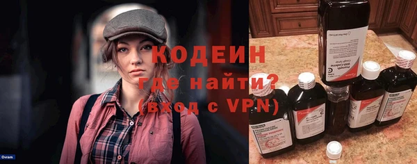 индика Абаза