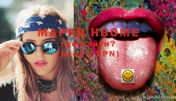 индика Абаза