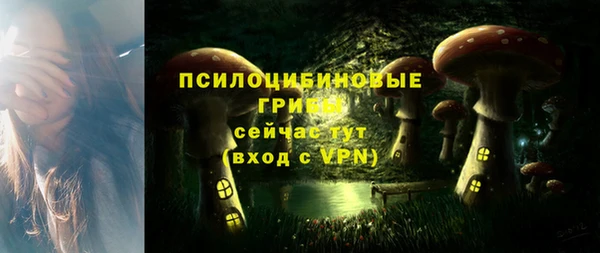 индика Абаза