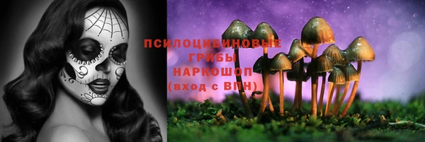 индика Абаза