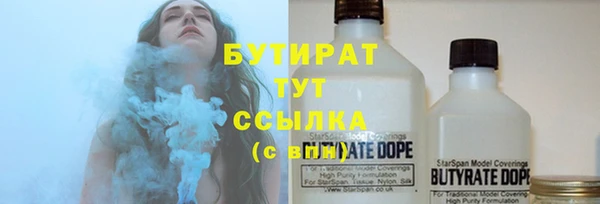 индика Абаза
