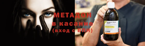 индика Абаза