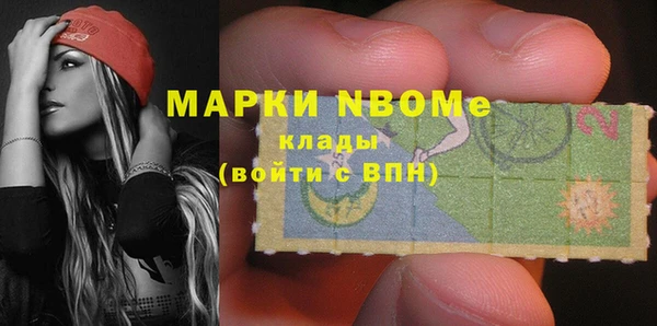 индика Абаза