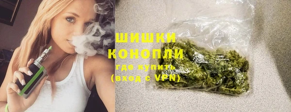 индика Абаза