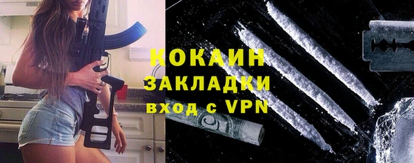 индика Абаза
