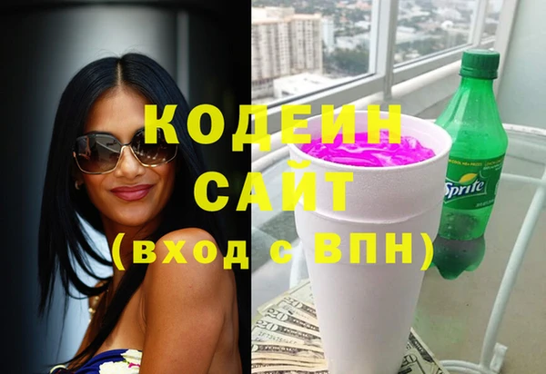 индика Абаза