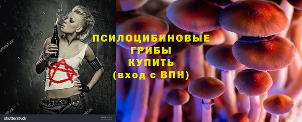 индика Абаза
