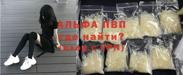 индика Абаза
