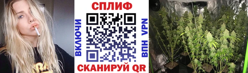 купить наркоту  Партизанск  Бошки Шишки White Widow 